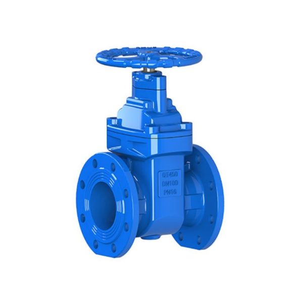 Válvula de Compuerta 6 con Brida